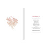 William Shakespeare & Julien Delval - Othello (deluxe FR) - preorder