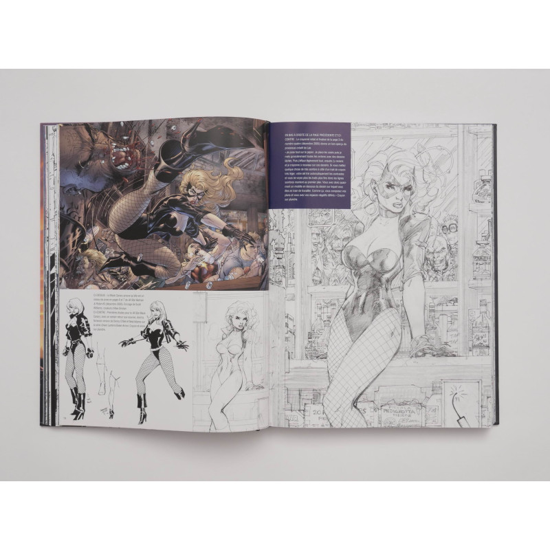 Jim Lee - Icons (French)