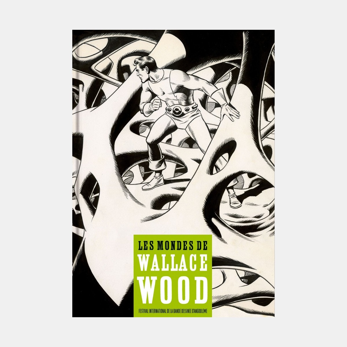 Les mondes de Wallace Wood (French)