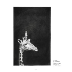 Dominique Schoenig - Animaux