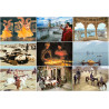 Kevin Kelly - Vanishing Asia (Anglais)