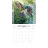 Chris Dunn - The Wind in the Willows Calendrier 2023 (Preorder - French)