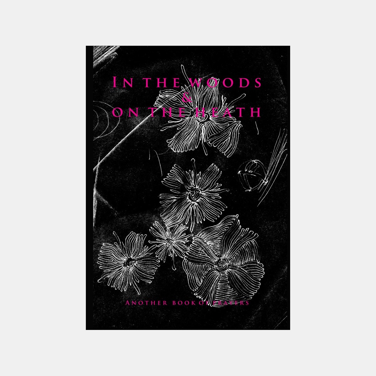 In the Woods & on the Heath - Collectif