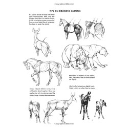 The Art of Animal Drawing: Construction, Action Analysis, Caricature - Ken Hultgren
