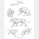 The Art of Animal Drawing: Construction, Action Analysis, Caricature - Ken Hultgren