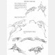 The Art of Animal Drawing: Construction, Action Analysis, Caricature - Ken Hultgren