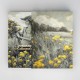 Dorian Vallejo - The Collector's Editions Premium