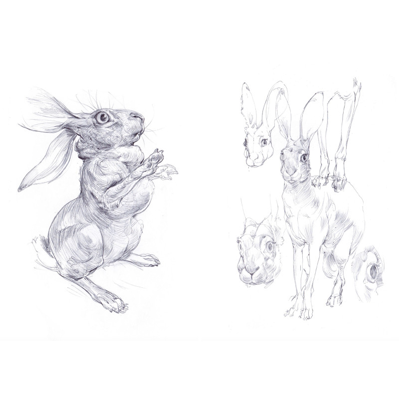 Decade: a sketchbook by Even Mehl Amundsen PRE-ORDER