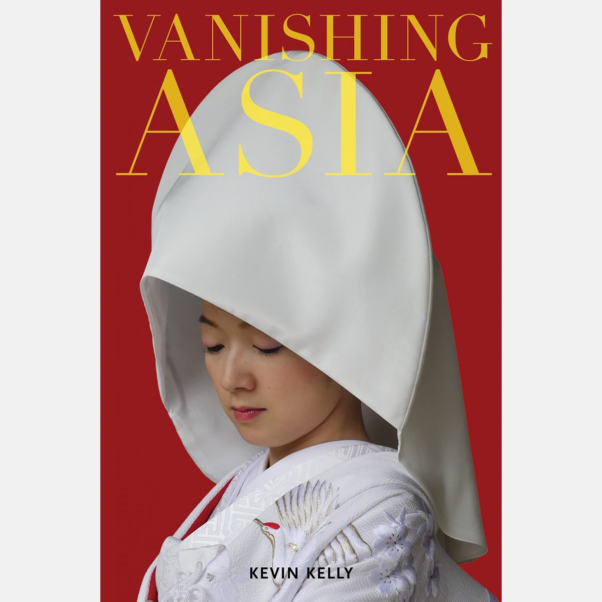 Kevin Kelly - Vanishing Asia (Anglais)