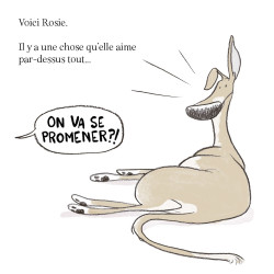 David Greene - On va se promener ?