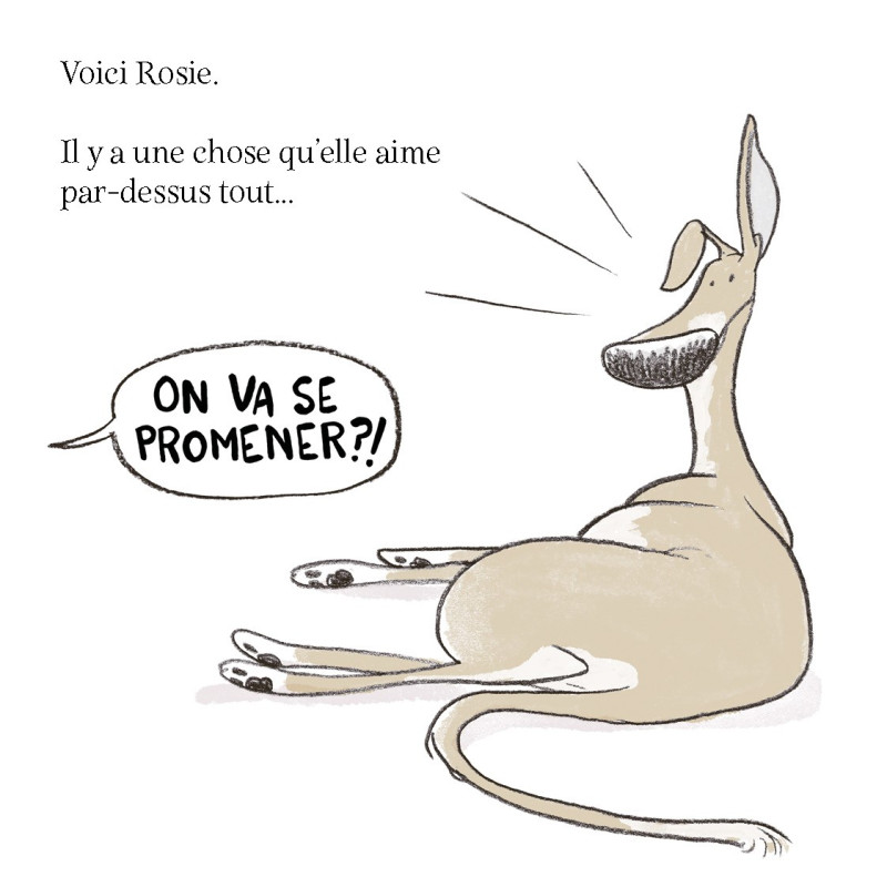 David Greene - On va se promener ?