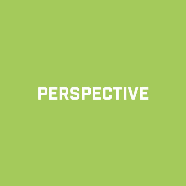 Perspective